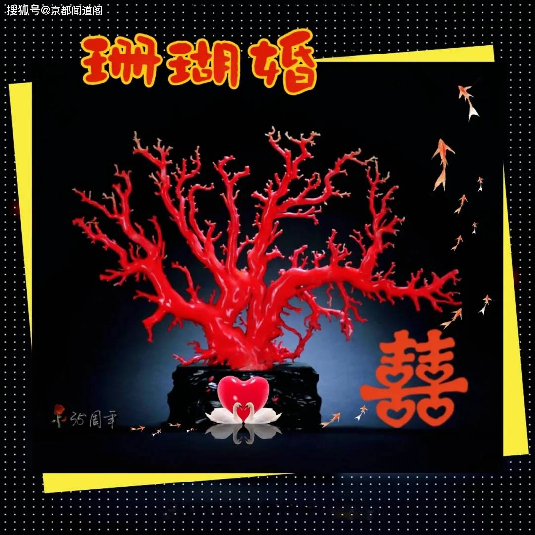 携手走过"珊瑚婚",恋恋不忘夫妻情