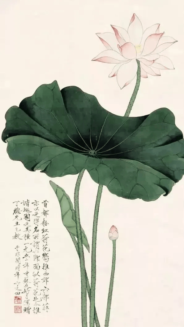 于非闇工笔荷花:艳丽而不俗的艺术典范