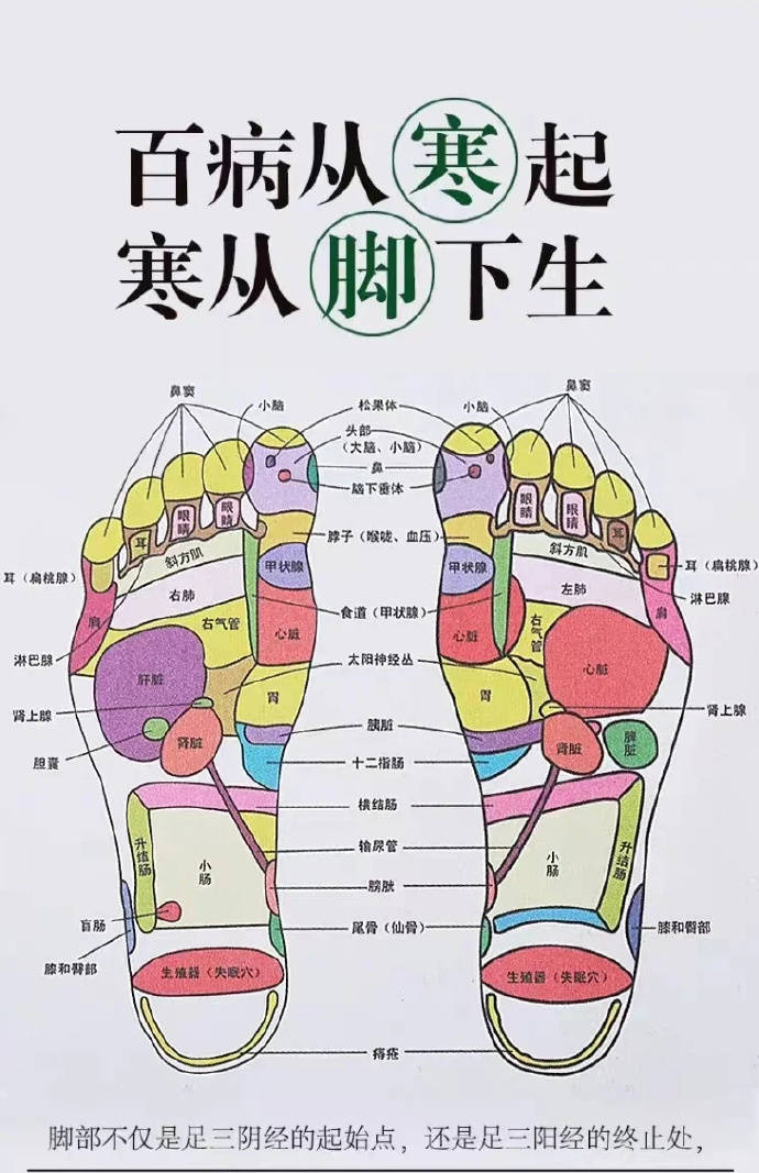 壹乐行姜粉鞋垫上市火爆市场_的作用_脚底_全身