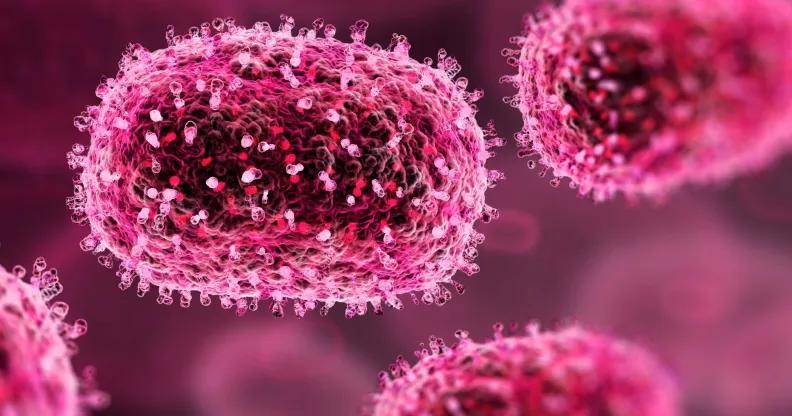 最新消息,英国发现两例变异猴痘毒株病例