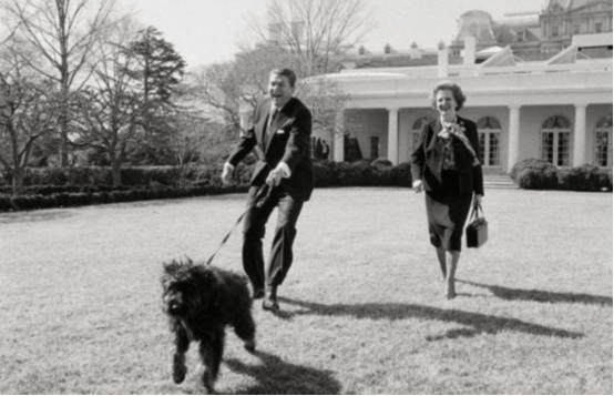 那些入住白宫的宠物们_罗斯福_罗纳德·里根_champ