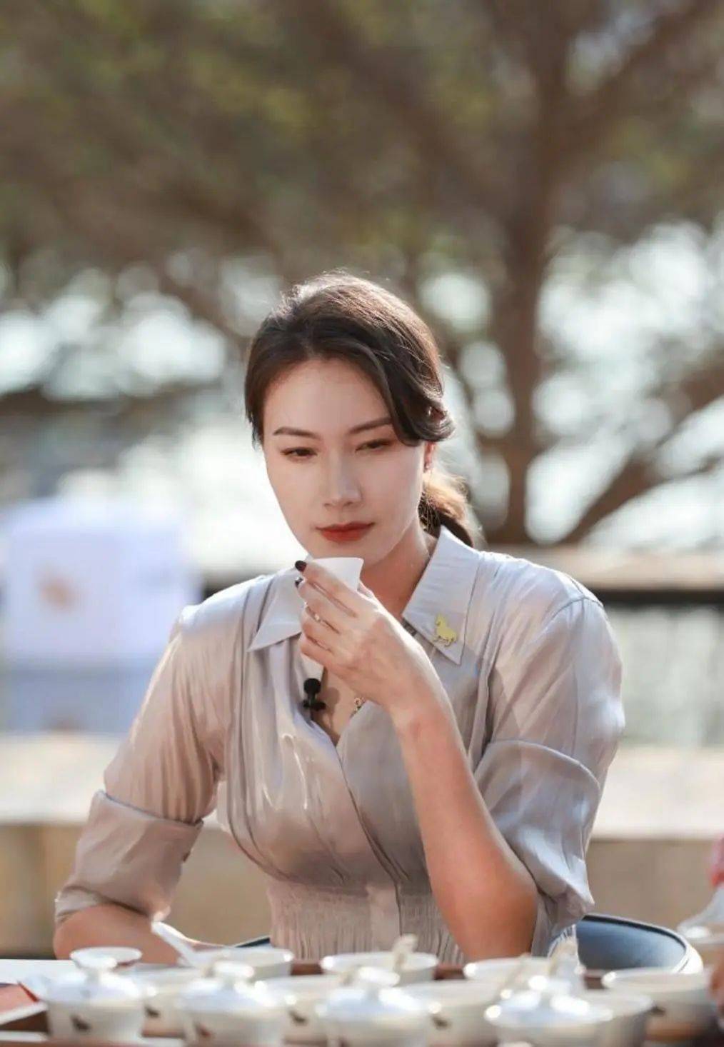 谢杏芳的无情,彻底揭开林丹的"婚姻真相",8年才看懂这盘大棋