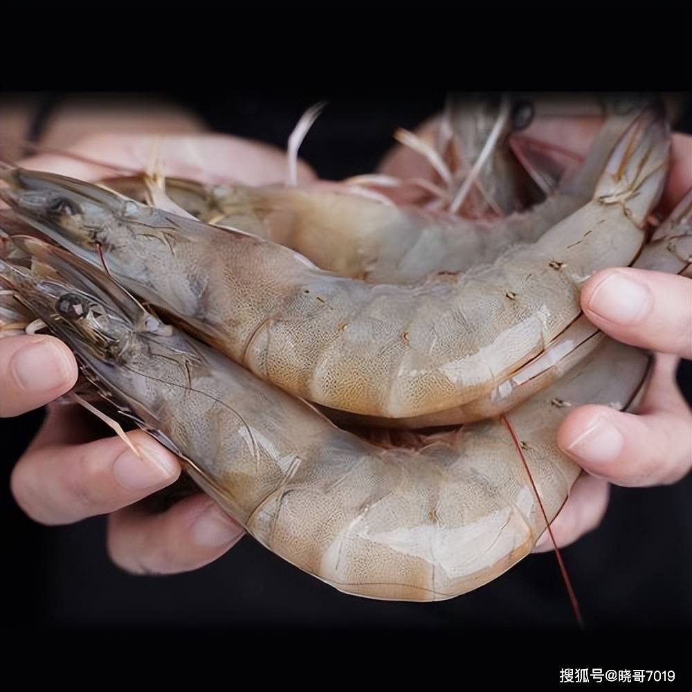 "粉丝蒸虾球",又叫吉利虾球!美味与健康并存好吃又好看!