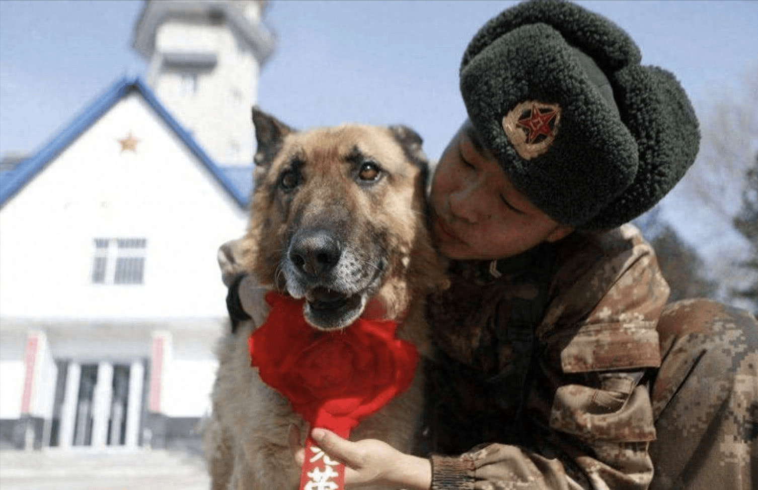 姚守岗_军犬_训导员
