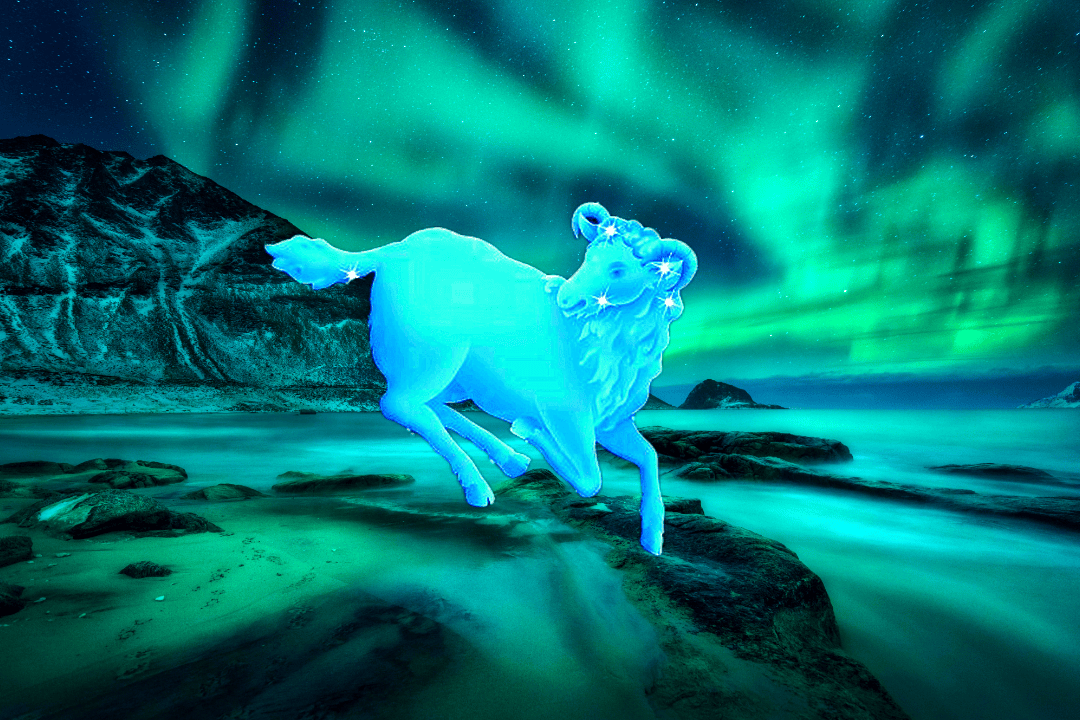 6月份i生肖羊的事业运势(属羊六月份运势如何2021)