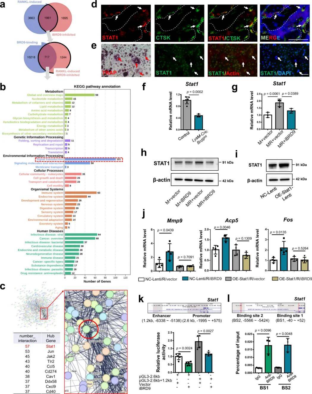 resultsetmetadata的简单介绍