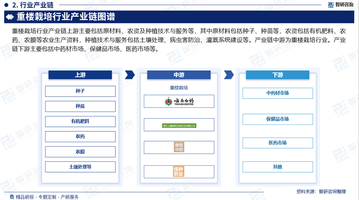 2025版重楼栽培行业发展现状及市场全景评估报告（智研咨询发布）