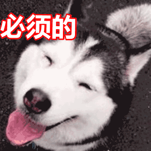 公认体味轻的10种狗狗,很长时间不洗澡,身上仍是香香的