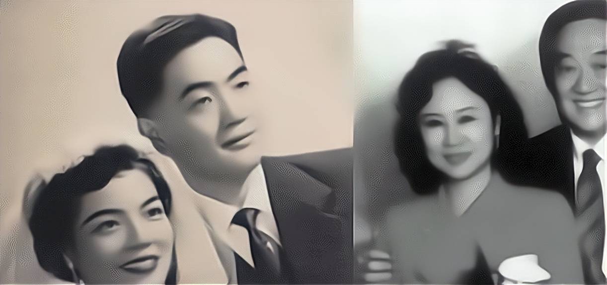 平鑫涛到底是谁,为何能让琼瑶心生爱慕,不惜插足也要在一起!