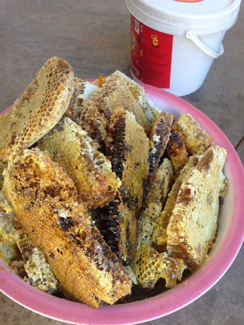真正的蜂蜜会结冻吗(真正的蜂蜜会结冰吗)