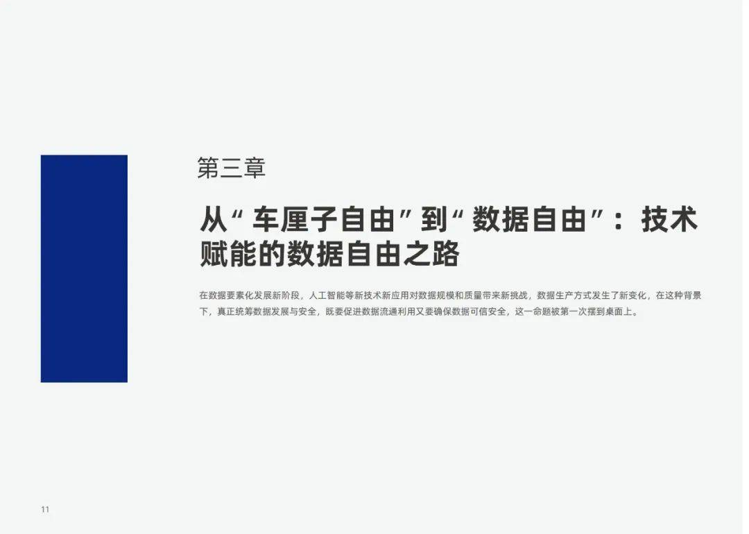 安恒信息：2024年数据要素化新阶段的数据分析，数据基础设施白皮书