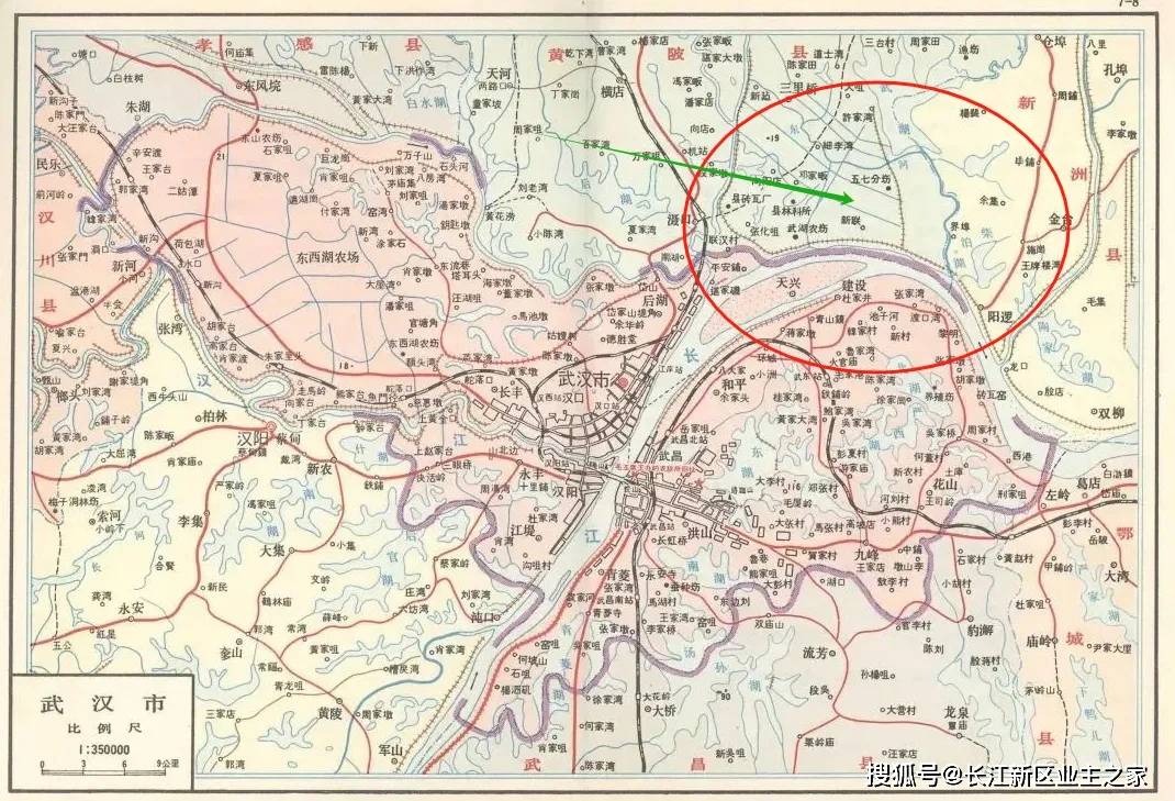 武汉市阳逻区地图图片