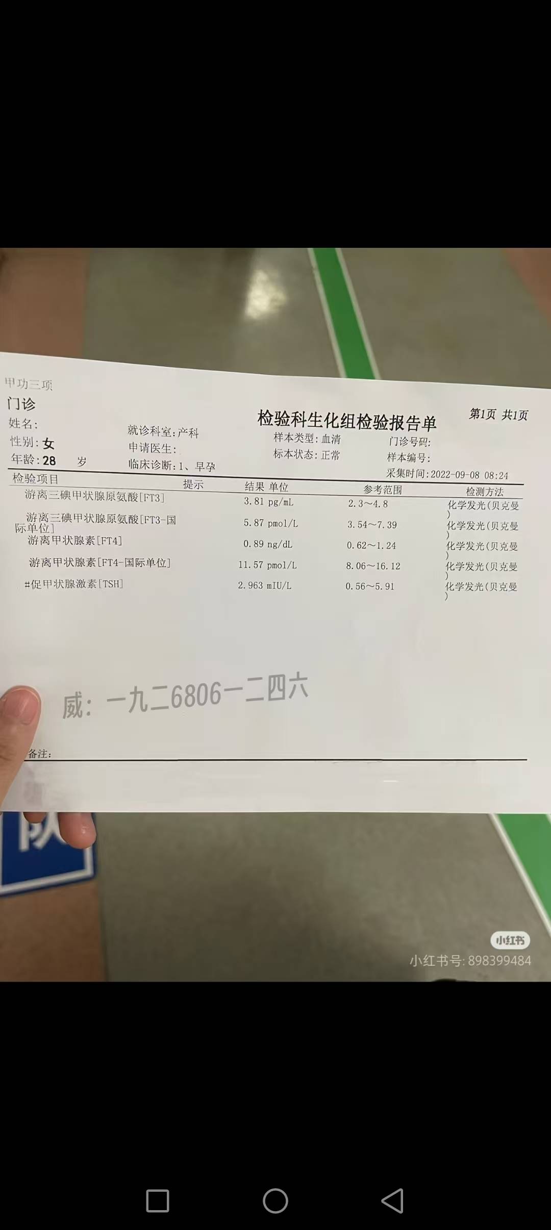 hcg报告单图片图片