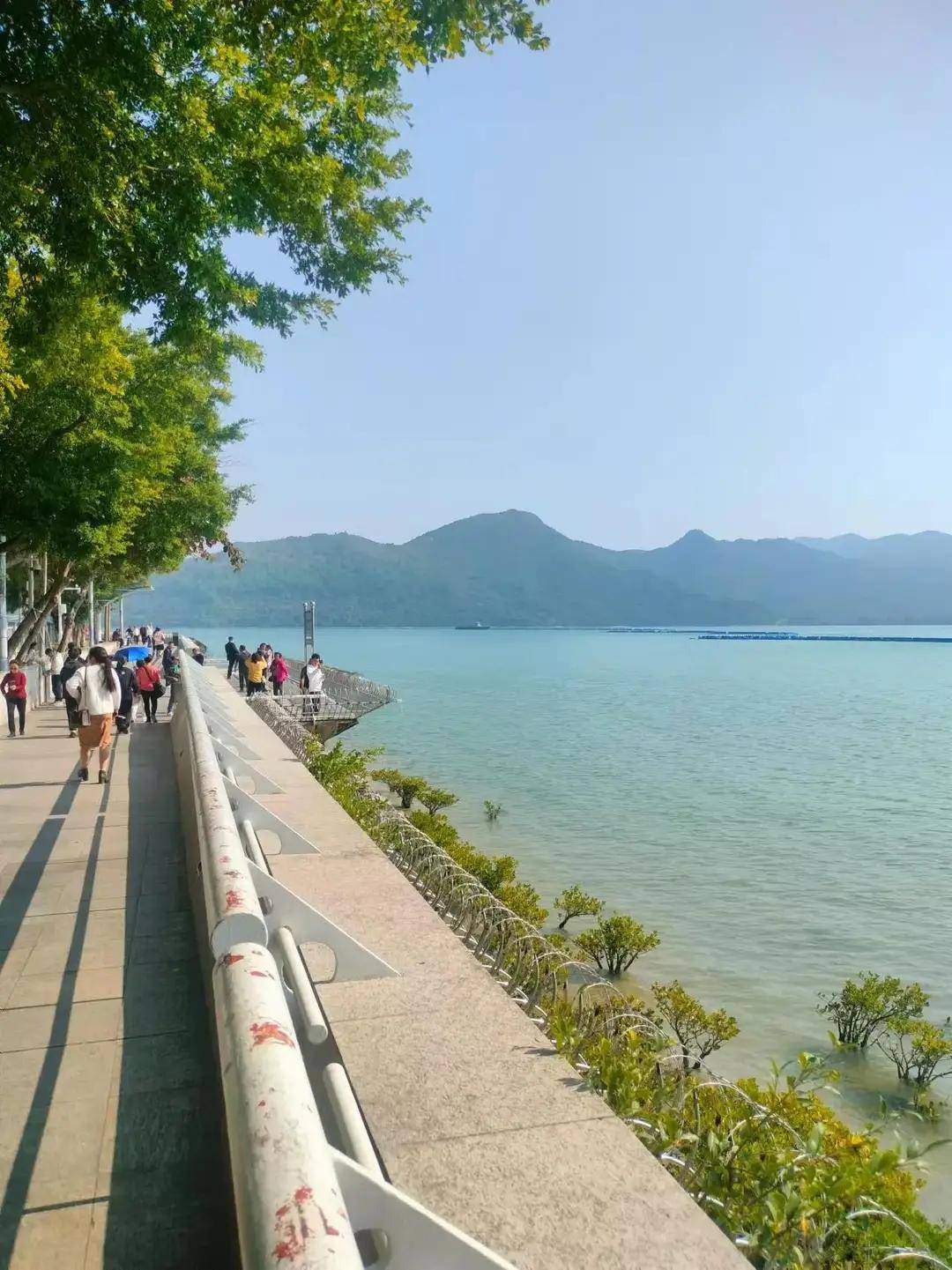 大湾区二中英街风情