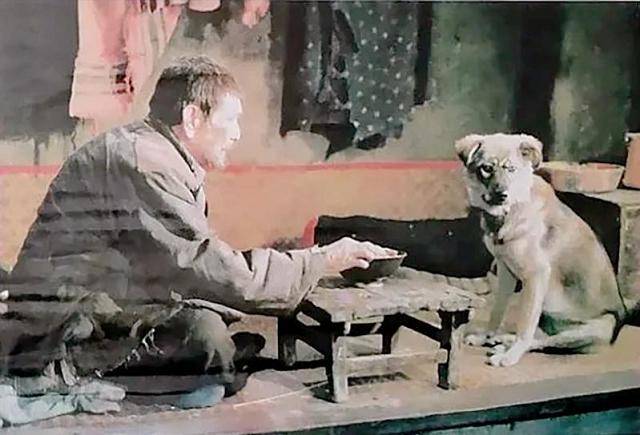 1993年老人带狗参演谢晋电影《老人与狗》,拍完后,人与狗皆枪毙