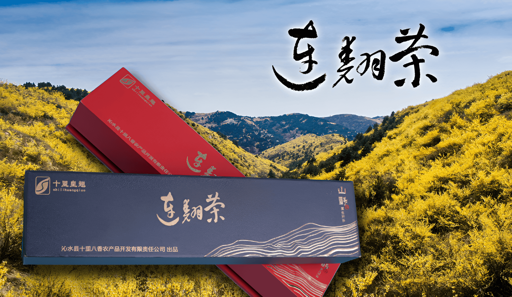 公司还将积极拓展市场渠道,加强品牌建设和推广,将更多