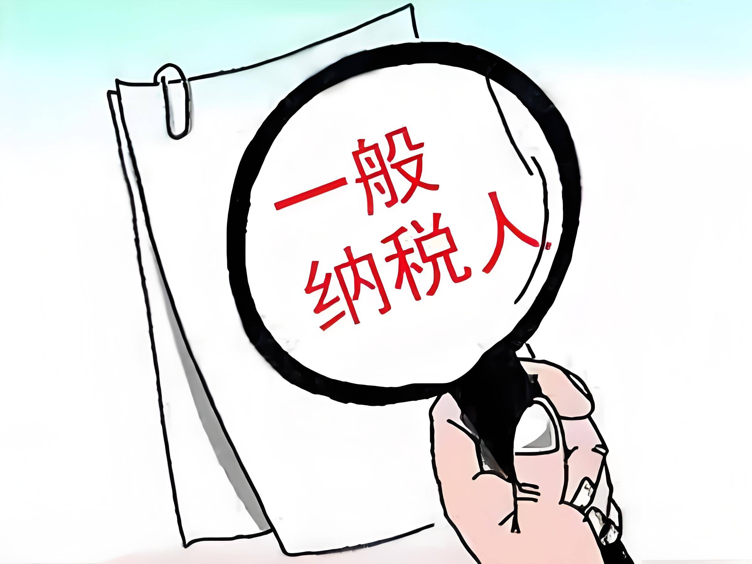一般纳税人