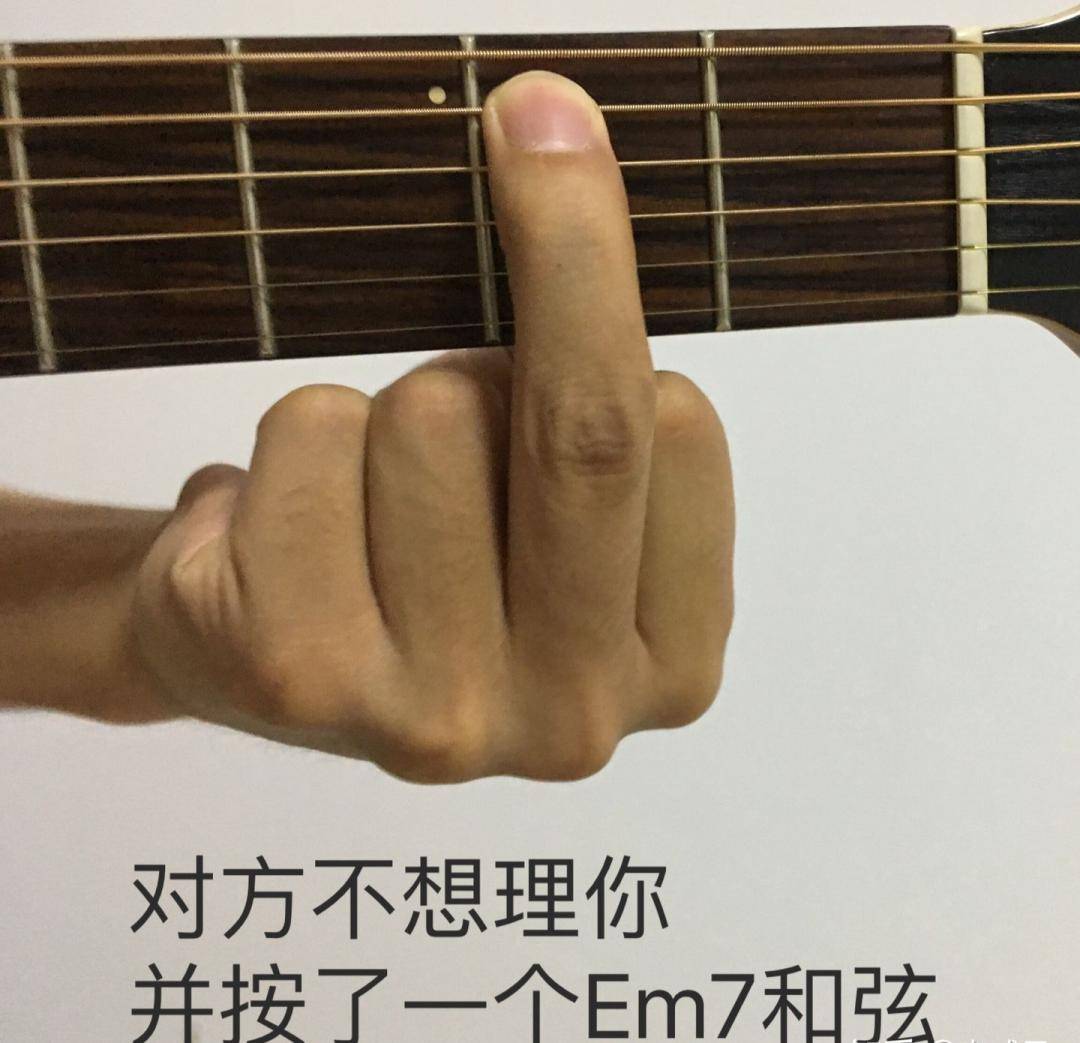 那些只有吉他手能看懂的梗图 第一期
