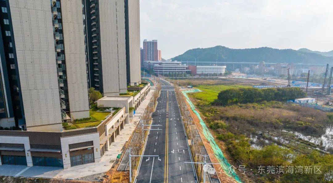 滨海湾威远岛交通建设加速：多条道路齐头并进 滨海湾威远岛：交通建设助力城市发展新阶段