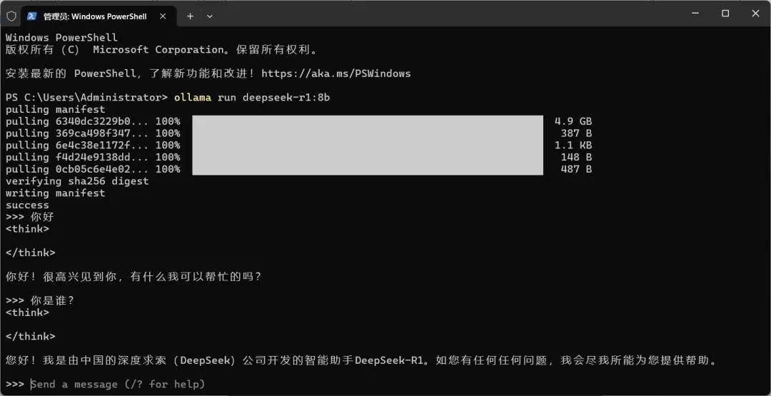deepseek可以本地部署吗 deepseek私有化部署的详细步骤和方法插图10