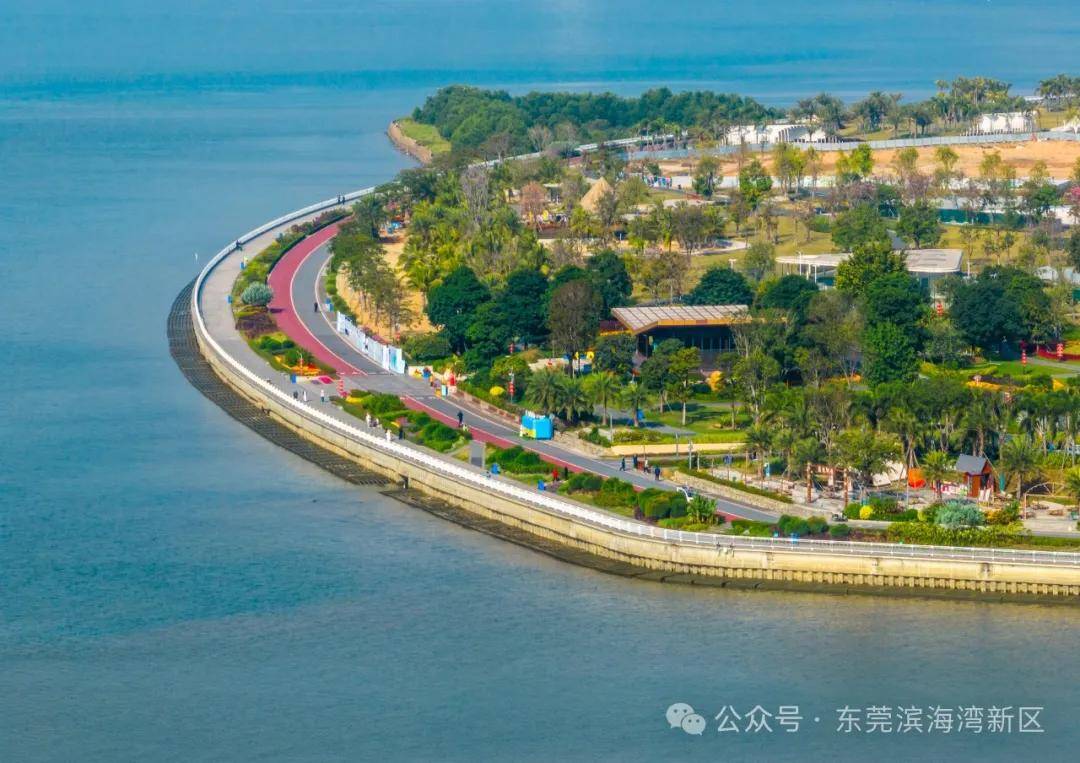 滨海湾：从地标到产业，传统剪纸中的现代画卷，AI“剪”出滨海湾新区：春节游玩新去处