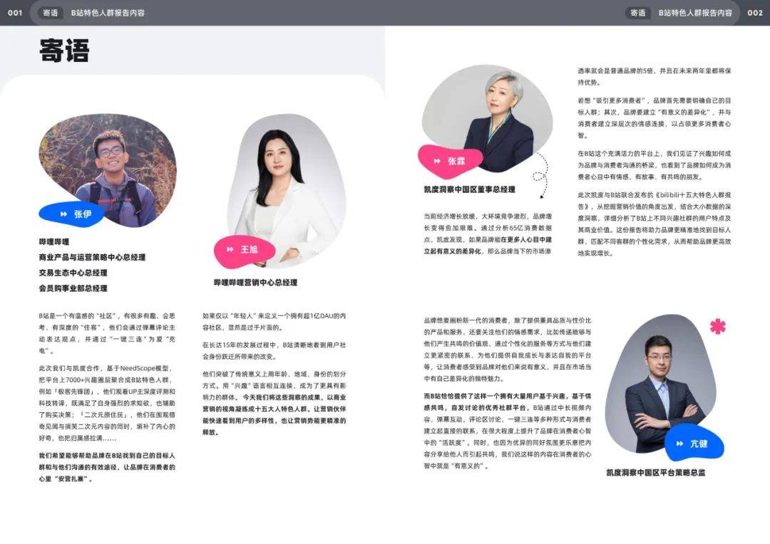 2025年哔哩哔哩用户人群分析，bilibili十五大特色人群特征白皮书-报告智库