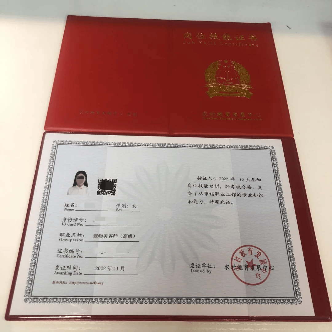 2025年宠物美容师0基础报考指南,怎么报考?在哪报考?