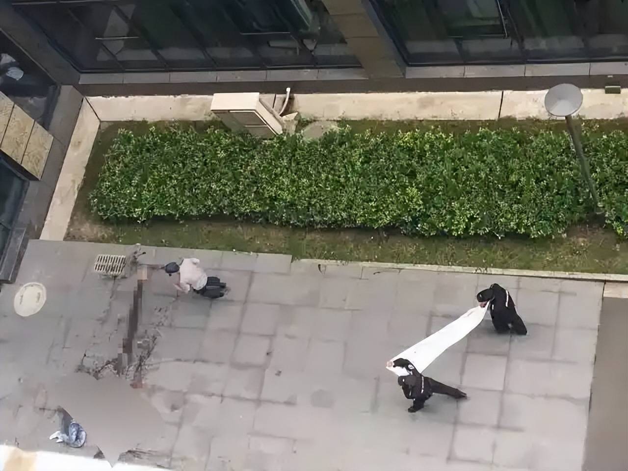 现在的这些青少年啊,心理承受能力确实相对弱了些,稍微有点风吹草动