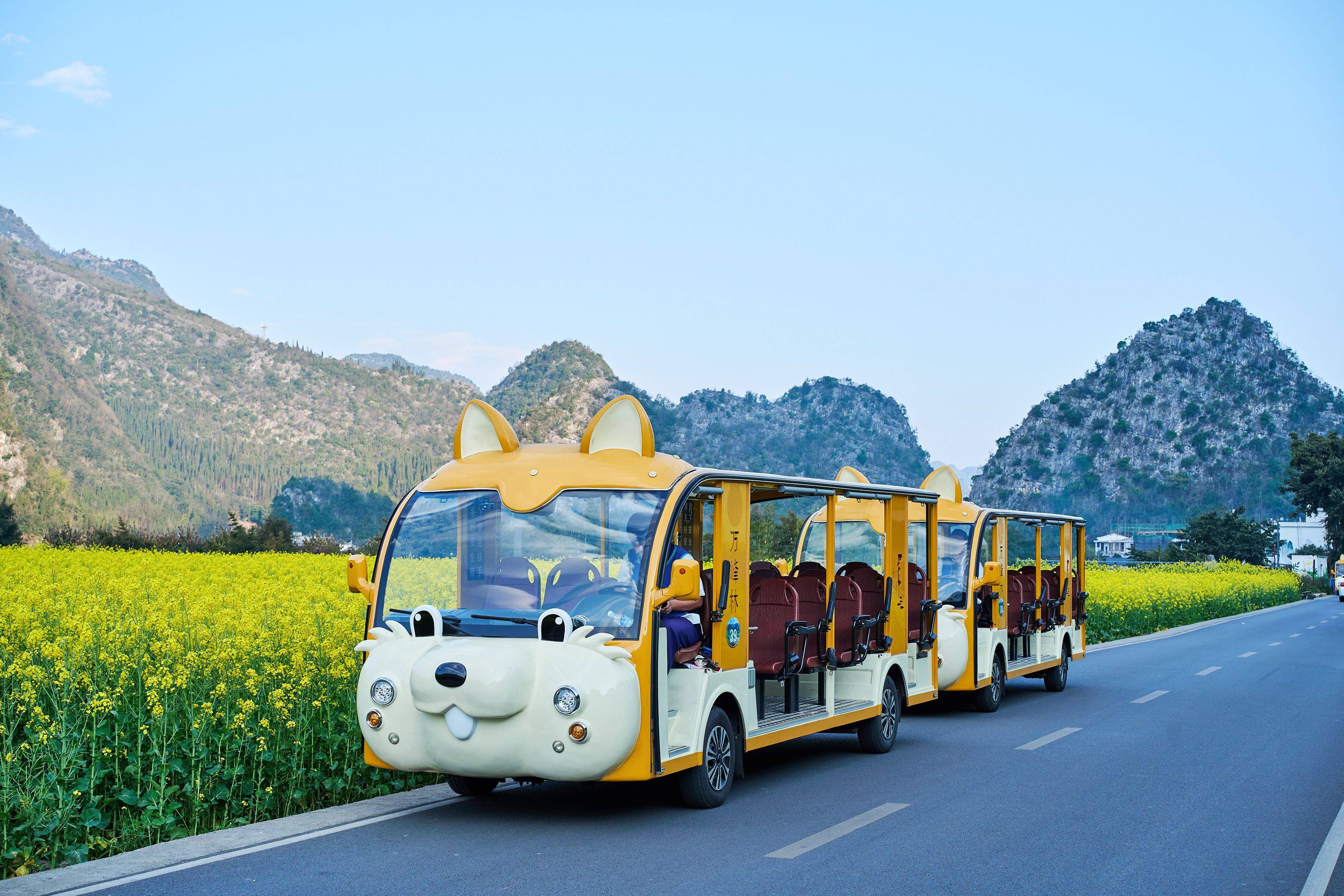 旅游景区电动观光车,燃油观光游览车小火车推荐指南