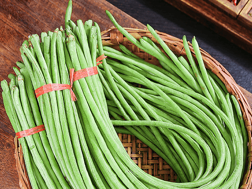 吕文扬研究出转基因豆角