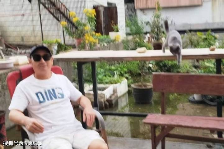 章太炎逸事(江南第一马佘汉武的散文)_先生_杜月笙_伍朝枢