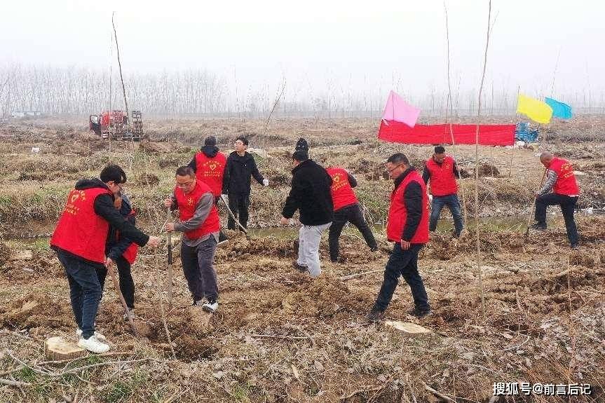 宝应湖农场:春风催新绿 植树正当时
