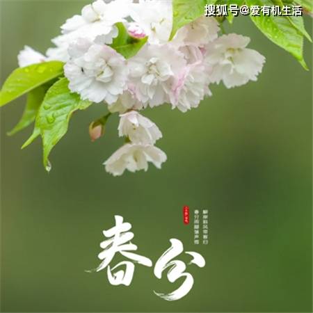 原创            南方春分吃什么传统食物？（广东春分吃什么食物）