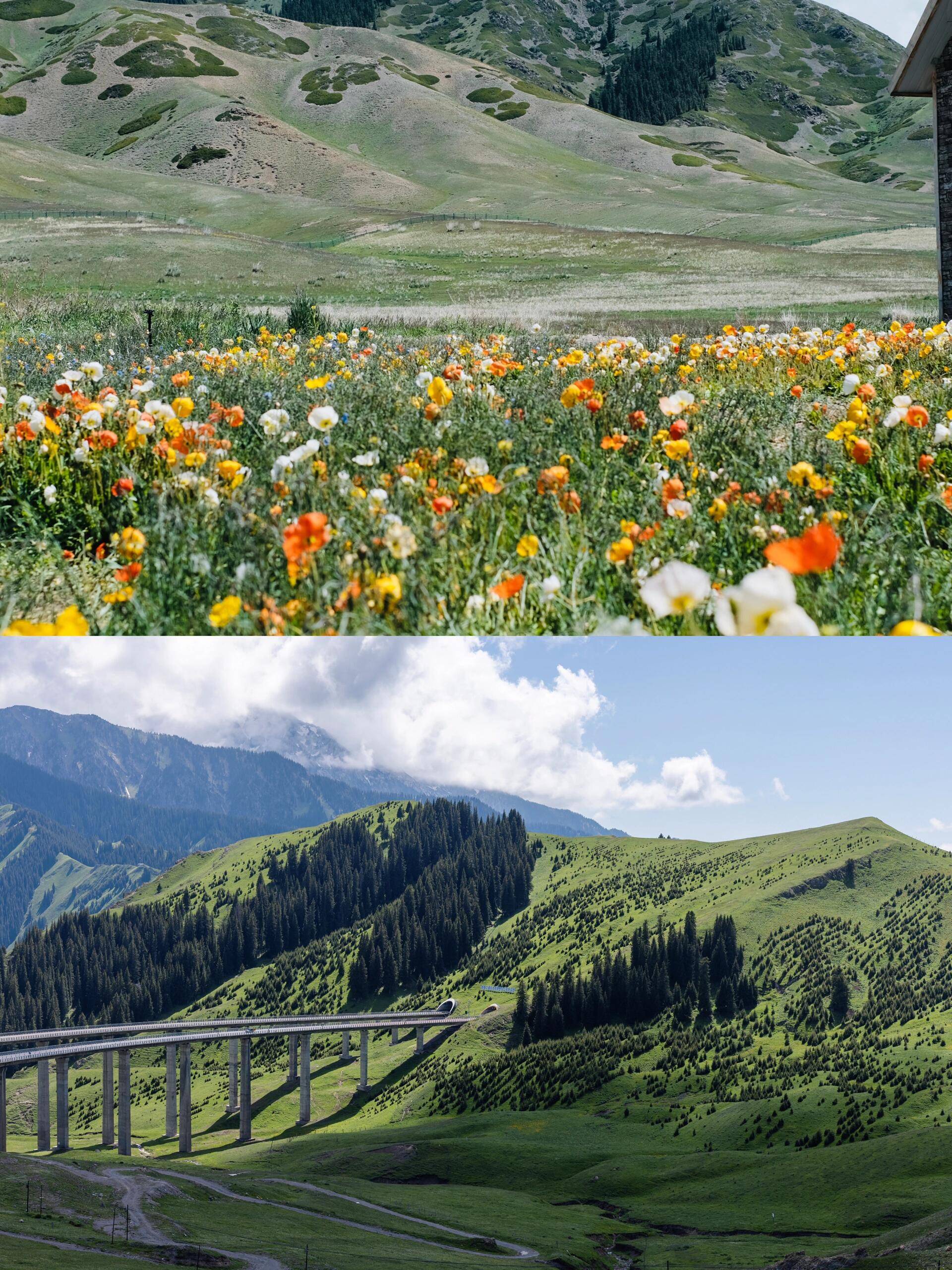 那拉提_阿木_搜索