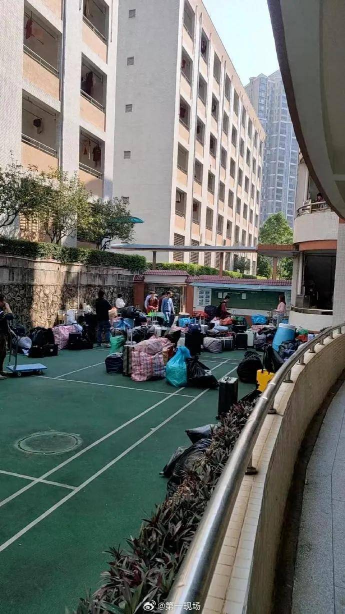 聚焦东莞外国语学校跳蚤事件：从发现到解决的全过程