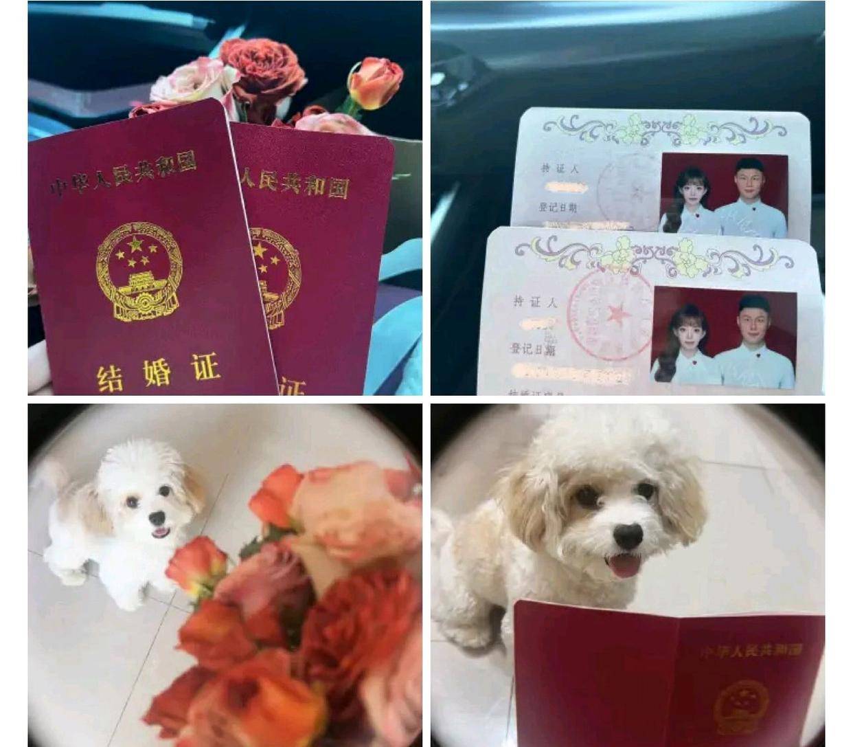 北京国安方昊爱人晒结婚证,甜蜜官宣已婚,幸福瞬间曝光