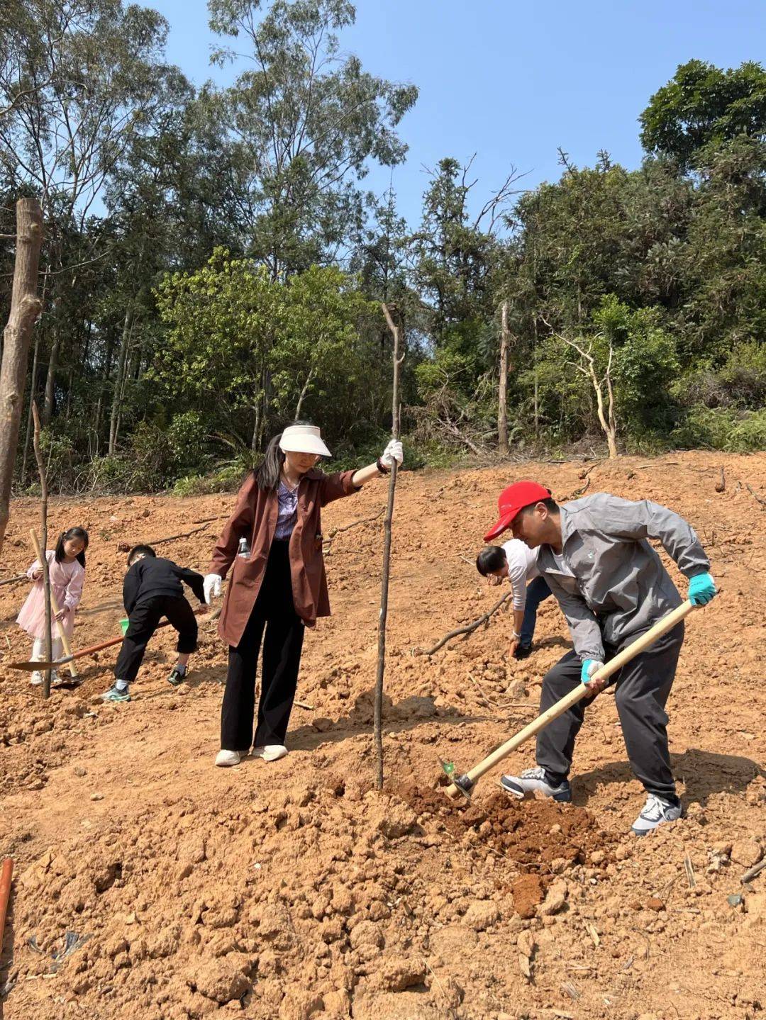 “绿美东城 人才同行”：高层次人才家庭种下希望之林，人才齐聚东城植树，助力绿美城市建设