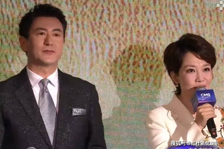 央4重要活动主持人:鲁健王端端仍是门面担当,新生代刘颢玥后生可畏_国际_频道_节目中心