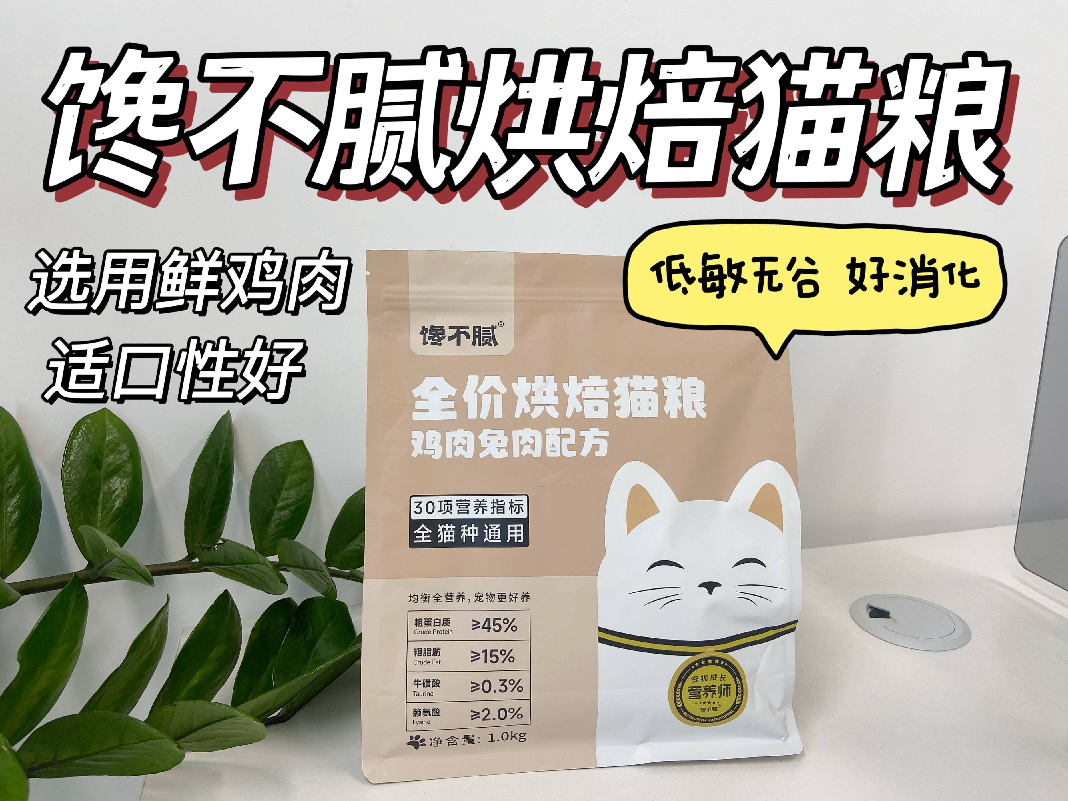 狮子猫吃什么猫粮好？记住这几招就好了！（狮子猫应该吃什么样的猫粮）