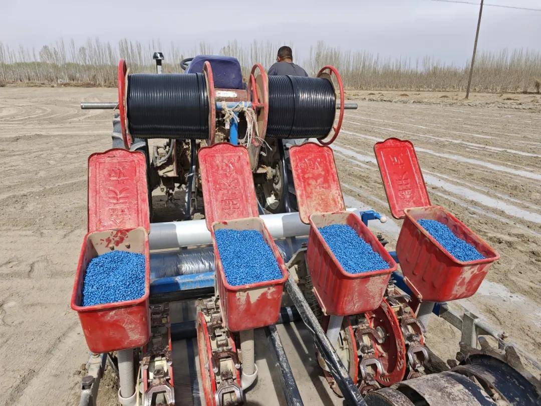 泽普大地春潮涌 棉花播种正当时