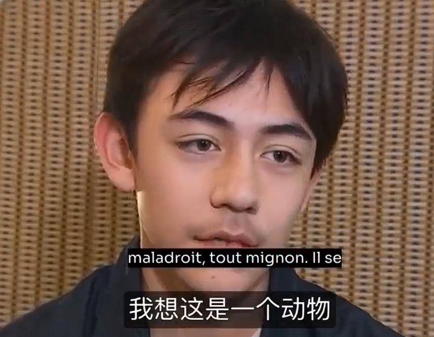 看了14岁诺一的生图,才知道刘烨的好基因可惜了_刘诺一_女儿_父母