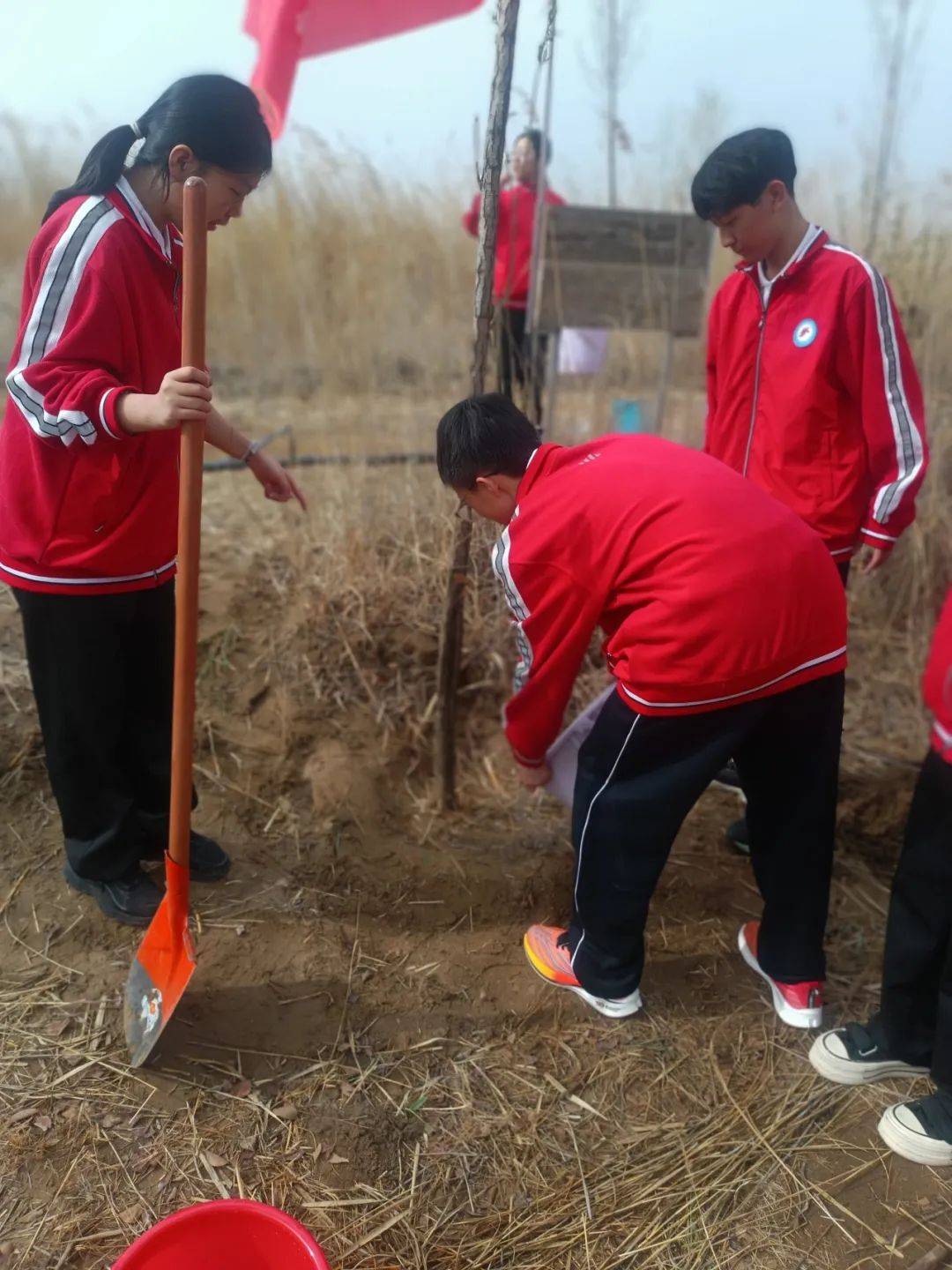 —忻州师院附中组织学生参加植树实践活动