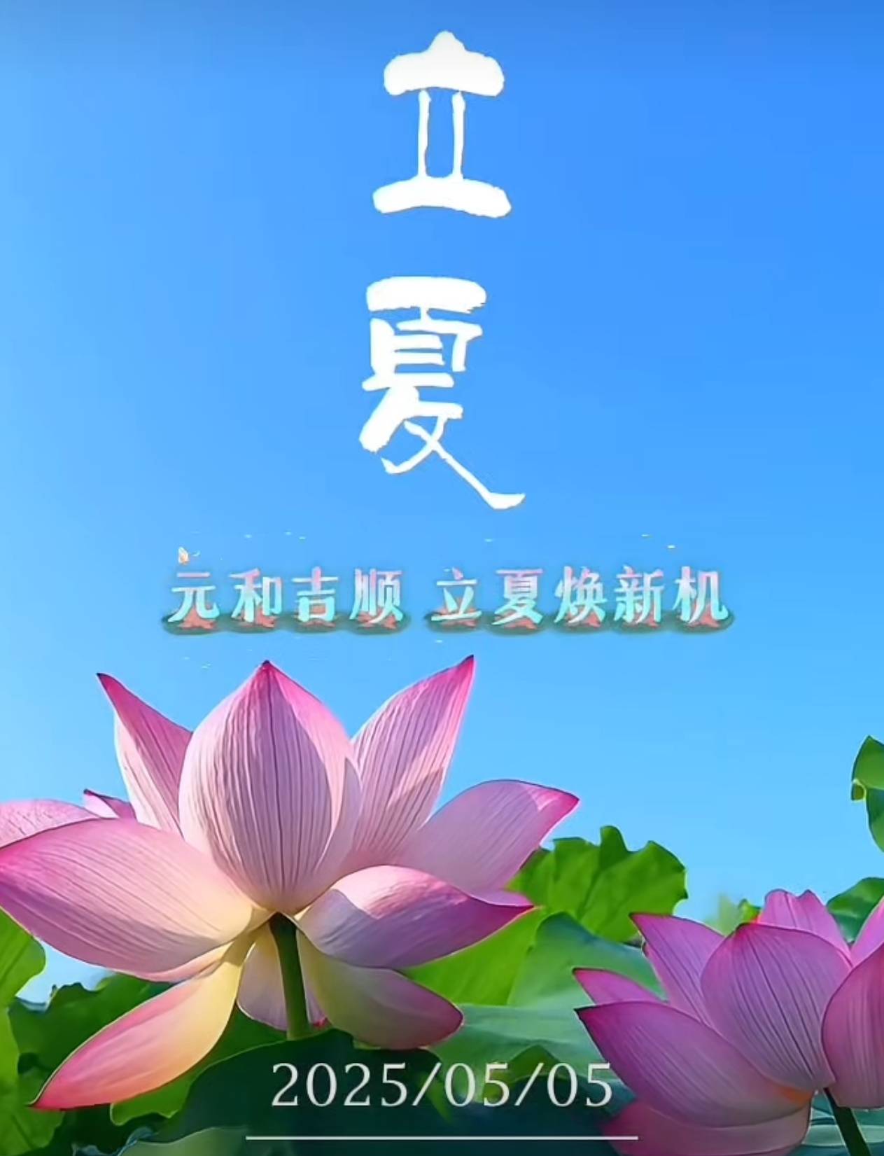 生肖龙立夏之后运势(立秋后属龙的运势)