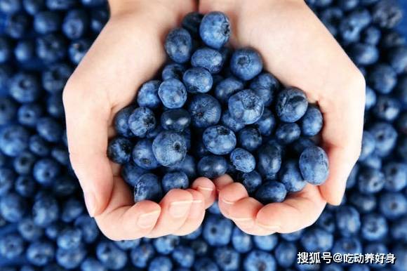 蓝莓富含营养，被称为“贝瑞王”。如何吃更多