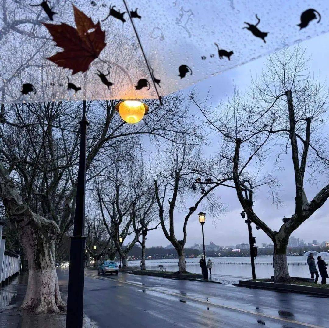 极具氛围感的雨天头像