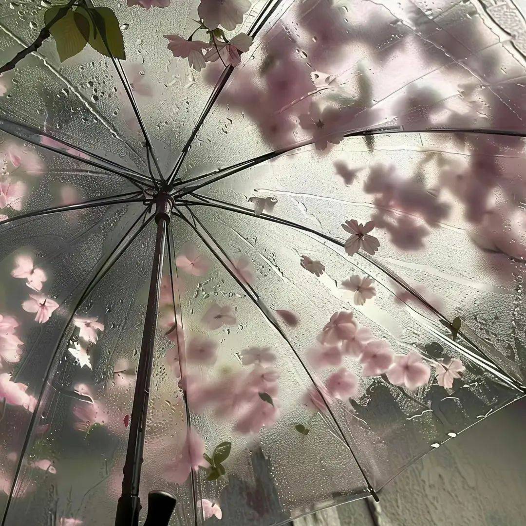 极具氛围感的雨天头像