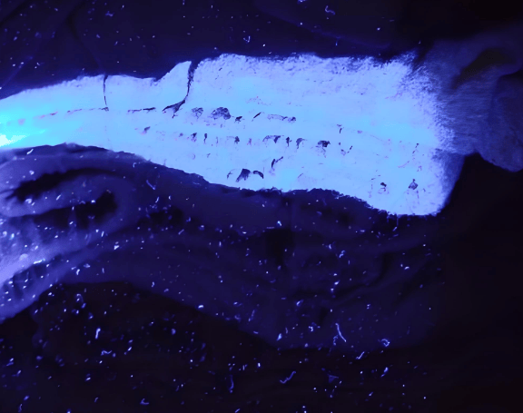 618有什么牌子的除螨仪好用?哪个值得入手?除螨仪十大排行榜推荐