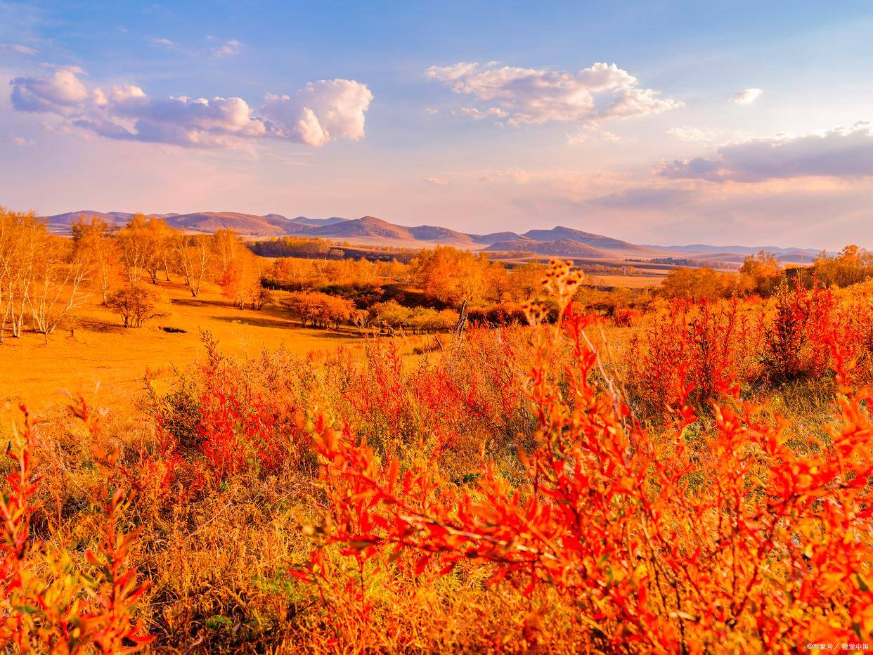 赤峰大青山秋色,层林尽染美如画!