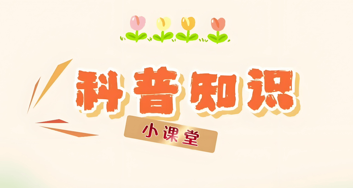 手机充电宝哪个牌子性价比高好用?8款2025年性价比最高充电宝品牌