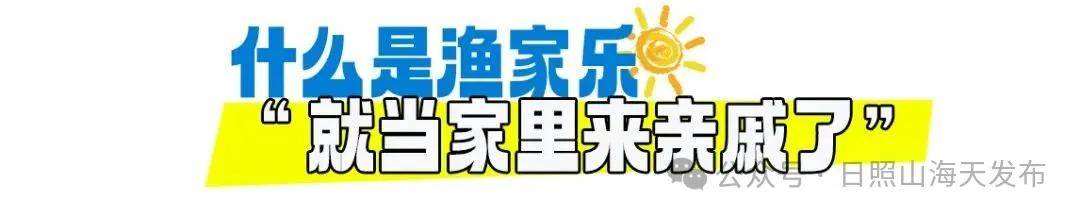 日照山海天网红老渔民找到流量新密码：“越干越有信心！” (图1)